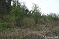 VBS_5448 - C'è un mare di velluto verde! E tu che sognavi di andare lontano... Quanta meraviglia, quì!